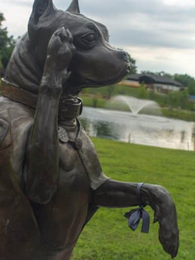 Sergeant Stubby Statue - Middletown, CT