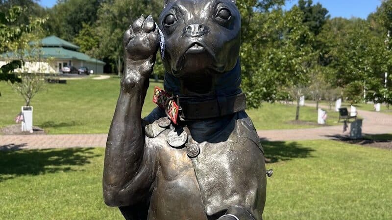 Sergeant Stubby Statue - Middletown, CT