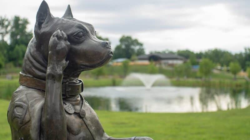 Sergeant Stubby Statue - Middletown, CT