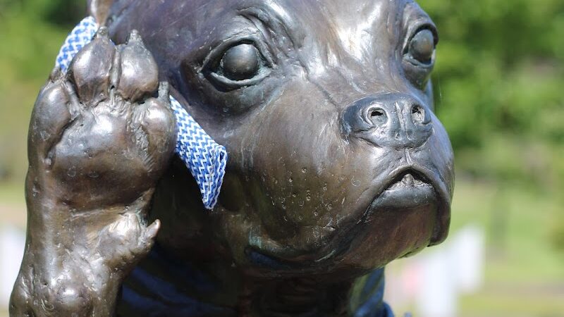 Sergeant Stubby Statue - Middletown, CT