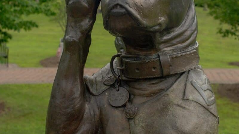 Sergeant Stubby Statue - Middletown, CT