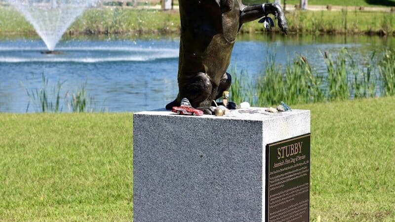 Sergeant Stubby Statue - Middletown, CT