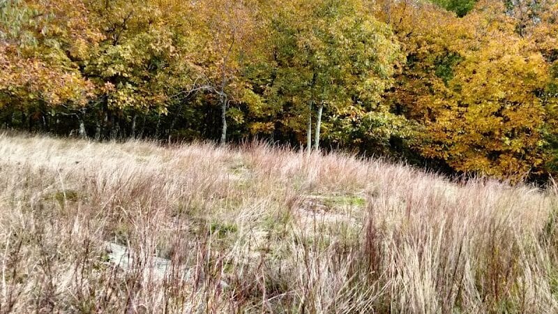 Tynan Memorial Park - Middletown, CT