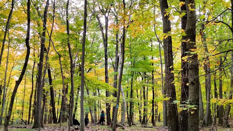 Tynan Memorial Park - Middletown, CT