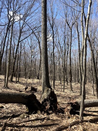 Tynan Memorial Park - Middletown, CT