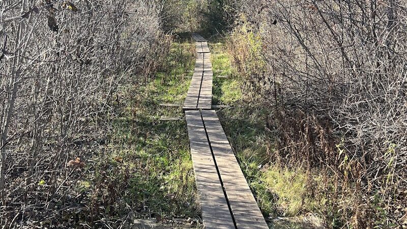 Tynan Memorial Park - Middletown, CT