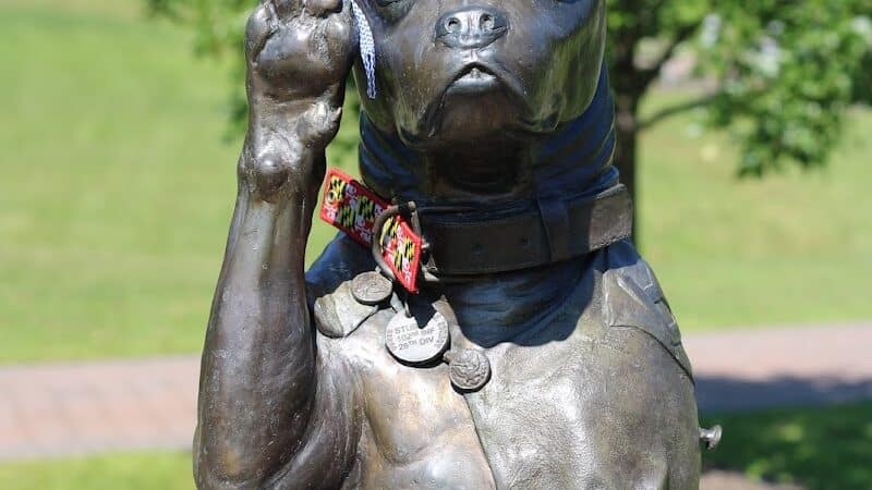 Veterans Memorial Park - Middletown, CT