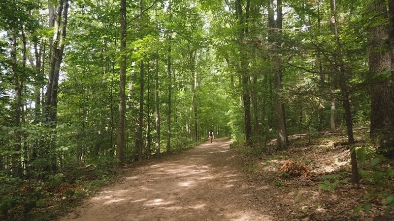 Wadsworth Falls State Park - Middletown, CT