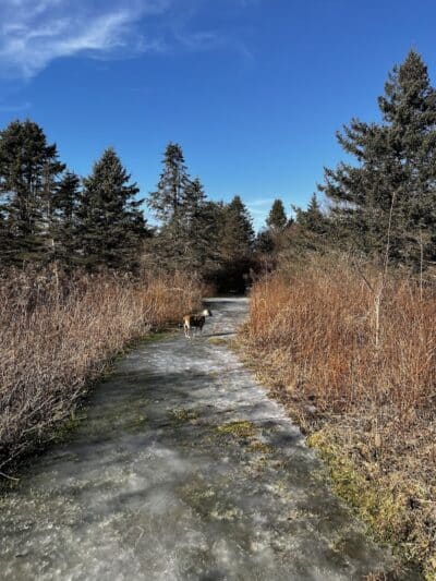 Aquidneck Land Trust's Spruce Acres Farm - Middletown, RI