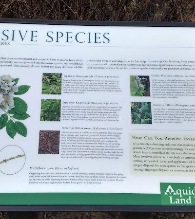 Aquidneck Land Trust's Spruce Acres Farm - Middletown, RI
