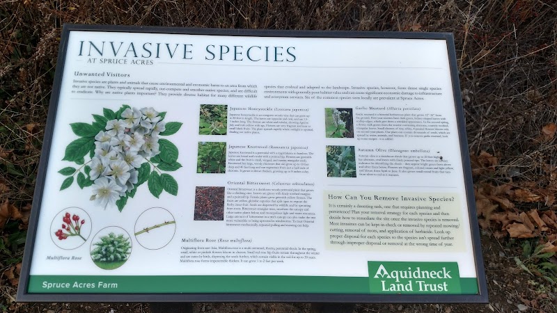 Aquidneck Land Trust's Spruce Acres Farm - Middletown, RI