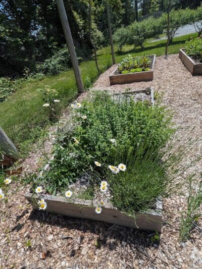 Aquidneck Land Trust's Spruce Acres Farm - Middletown, RI