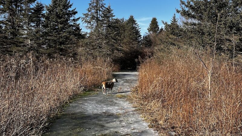 Aquidneck Land Trust's Spruce Acres Farm - Middletown, RI