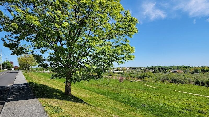 Middletown Valley - Middletown, RI