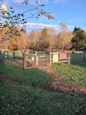 Walter Bradley Dog Park - Midway, KY