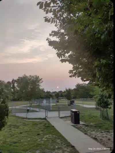 Milford Dog Park - Milford, DE