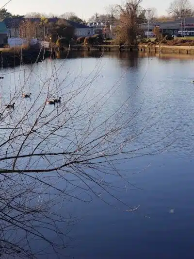 Milford Dog Park - Milford, DE