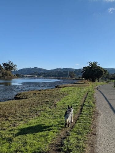 Dog Park | Bayfront Park Mill Valley - Mill Valley, CA