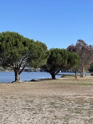 Dog Park | Bayfront Park Mill Valley - Mill Valley, CA