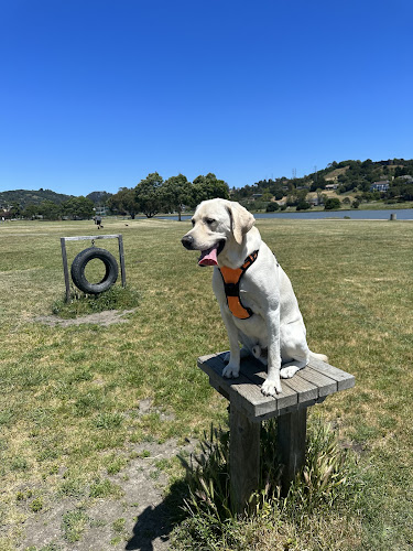 Dog Park | Bayfront Park Mill Valley - Mill Valley, CA
