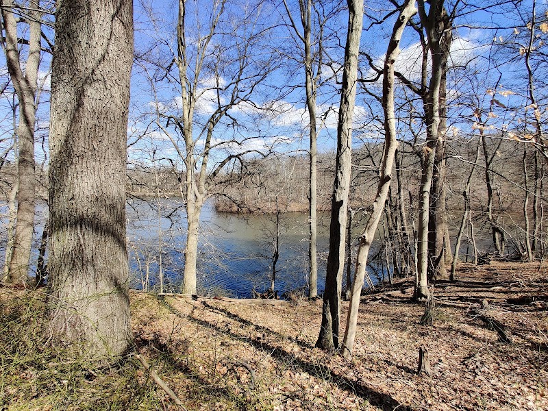 Perrineville Lake Park - Millstone, NJ