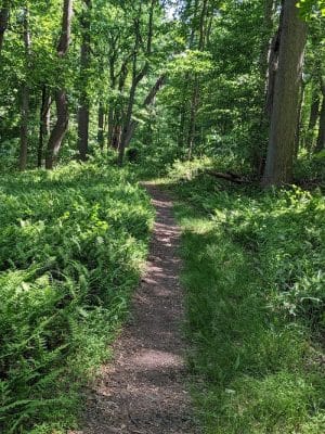 Perrineville Lake Park