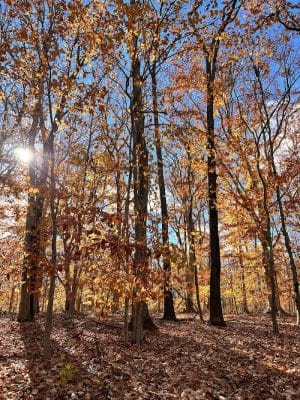 Perrineville Lake Park