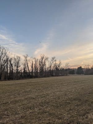 Perrineville Lake Park