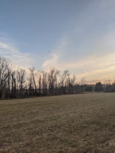 Perrineville Lake Park