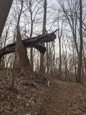 Perrineville Lake Park