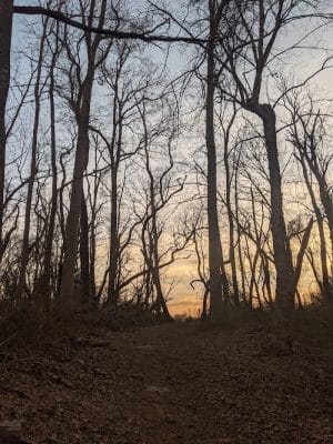 Perrineville Lake Park