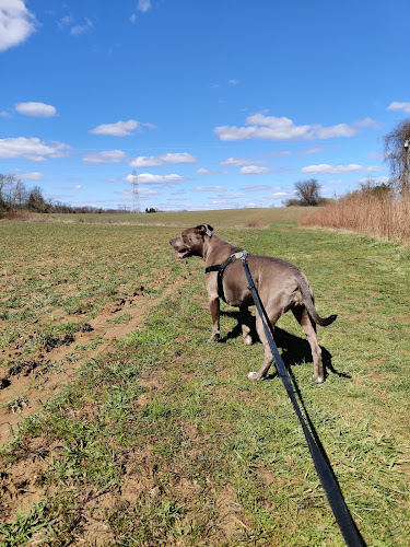 Perrineville Lake Park