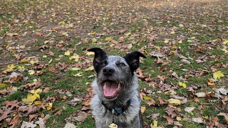 Milton Landing Dog Park - Milton, NY