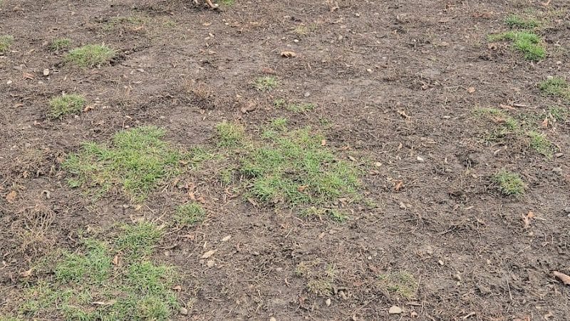 Bay View Dog Park - Milwaukee, WI