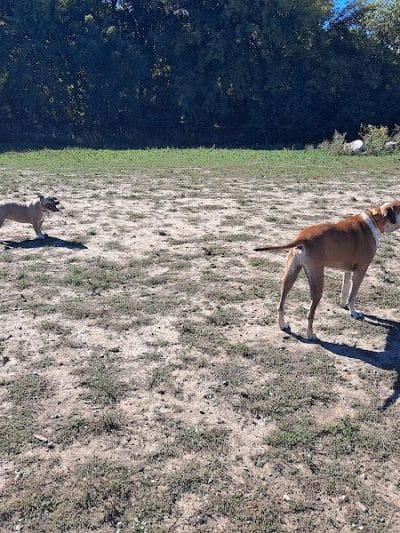 Bay View Dog Park - Milwaukee, WI