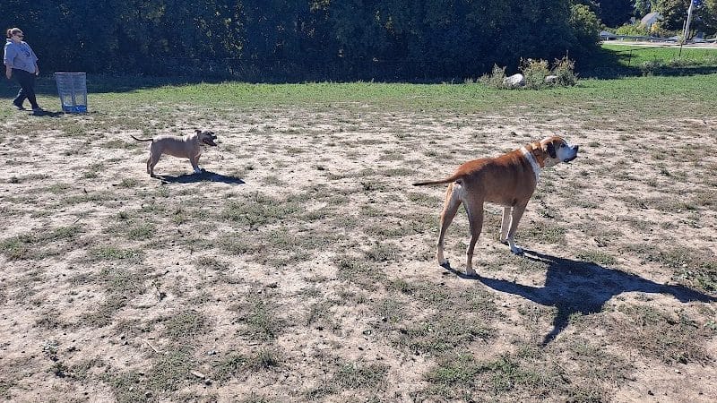 Bay View Dog Park - Milwaukee, WI