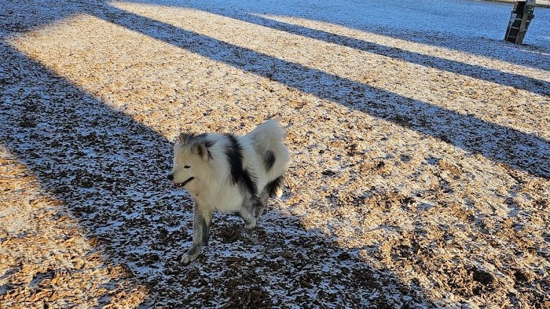 Bay View Dog Park - Milwaukee, WI