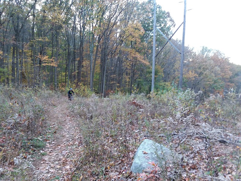 Dickerson Mine Preserve - Mine Hill Township, NJ