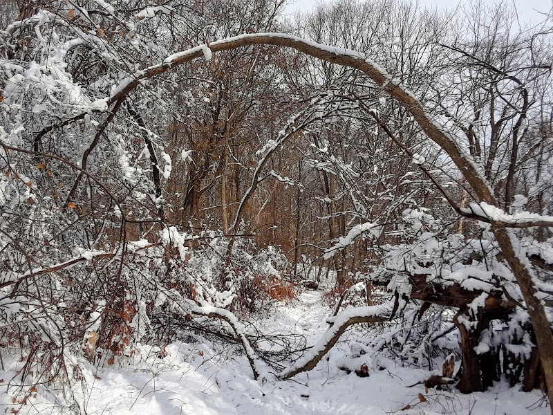 Dickerson Mine Preserve - Mine Hill Township, NJ