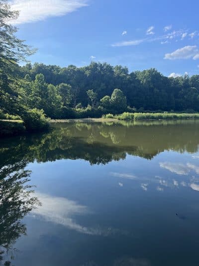 Hedden Park - Mine Hill Township, NJ