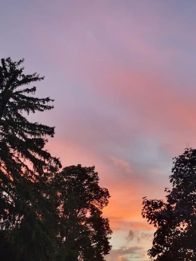 Mineola Memorial Park - Mineola, NY