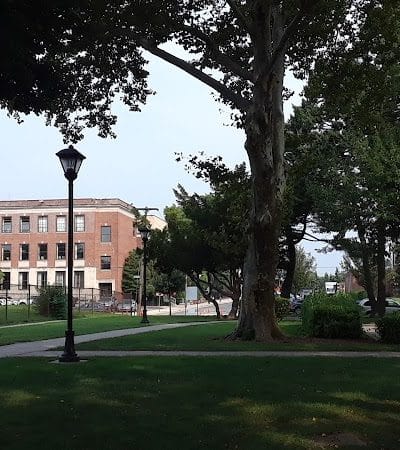 Mineola Memorial Park - Mineola, NY