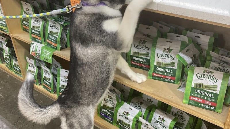Pet Story NY - Mineola, NY