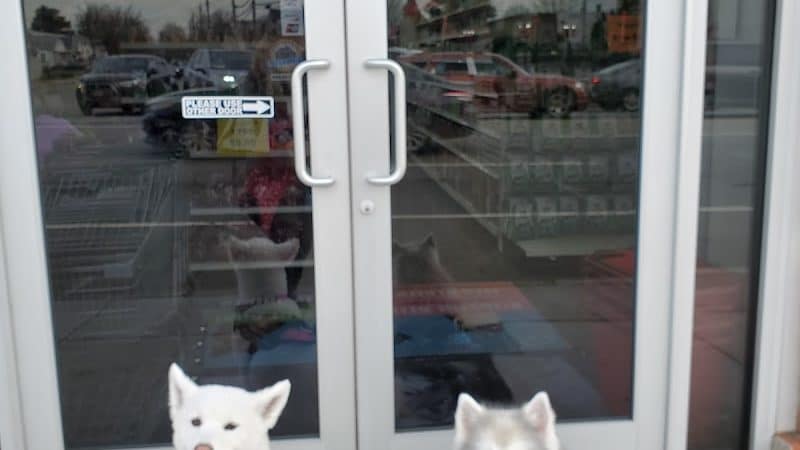 Pet Story NY - Mineola, NY