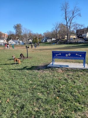 Butterworth Dog Park