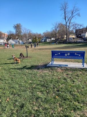 Butterworth Dog Park