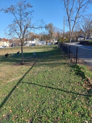 Butterworth Dog Park