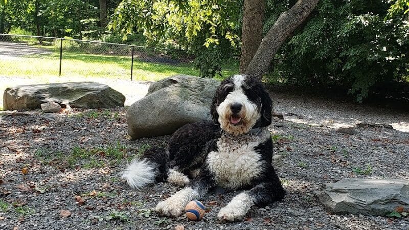 Smith Clove Dog Park - Monroe, NY