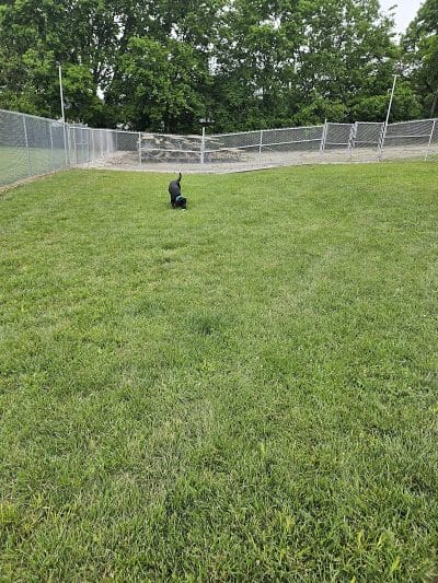 MonRover - Monroe, OH