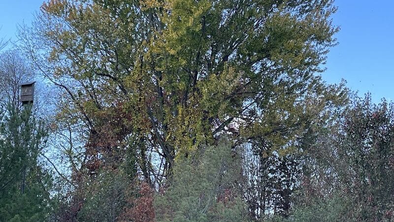 Half-Acre Park - Monroe Township, NJ